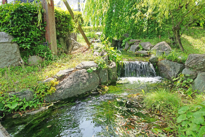 鴨島公園の清水