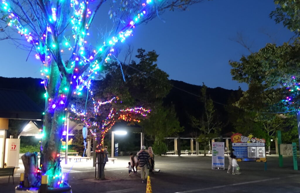 夜の動物園